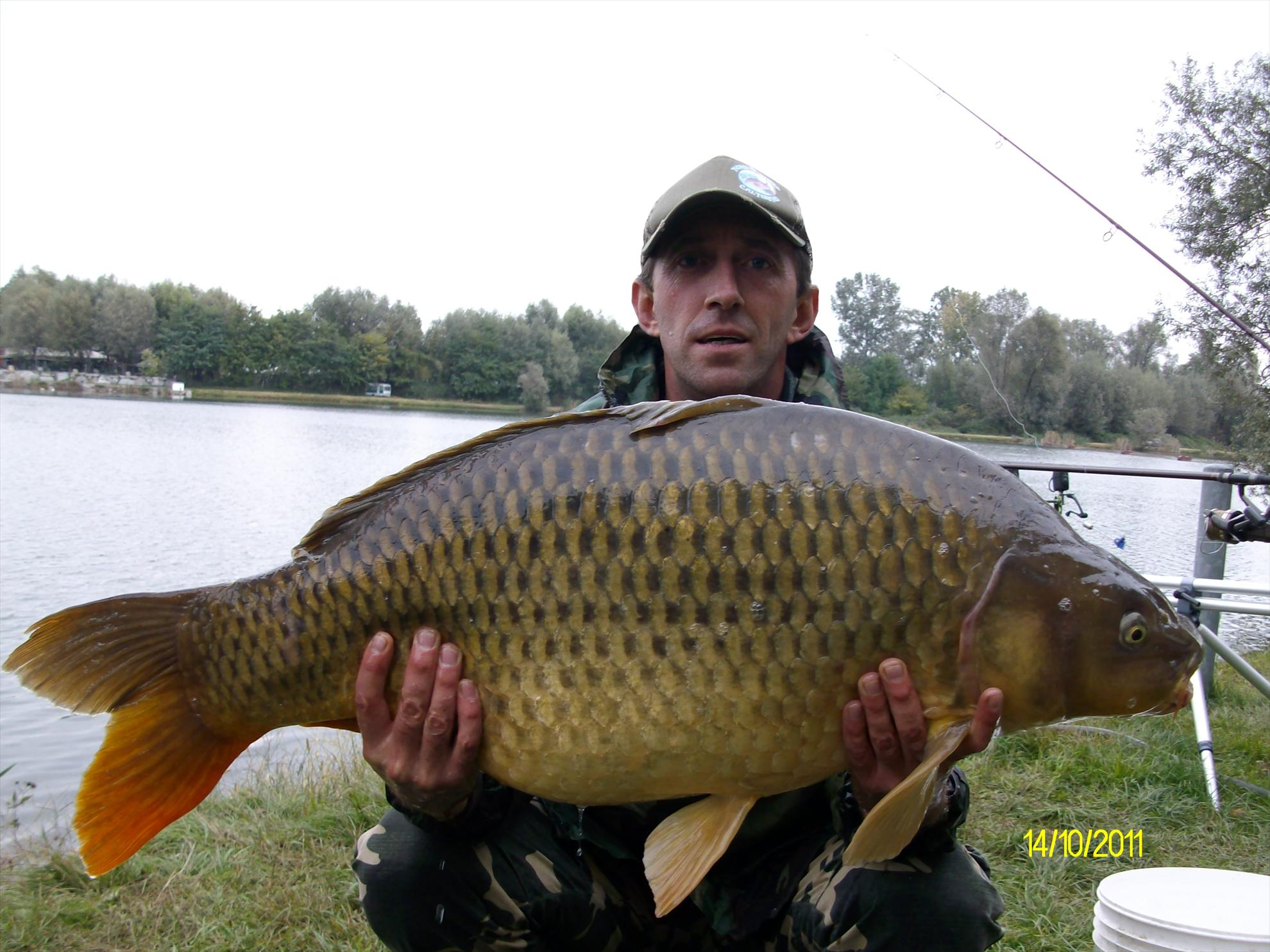 florian tanasa - alim0468.JPG